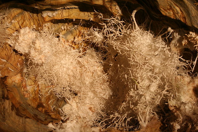 Ochtinská aragonitová jaskyňa: Podzemný svet plný zázrakov